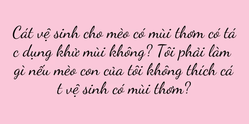Cát vệ sinh cho mèo có mùi thơm có tác dụng khử mùi không? Tôi phải làm gì nếu mèo con của tôi không thích cát vệ sinh có mùi thơm?