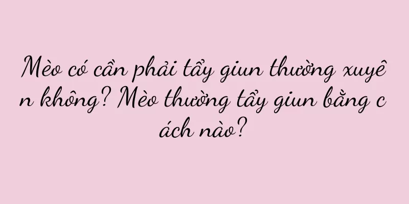 Mèo có cần phải tẩy giun thường xuyên không? Mèo thường tẩy giun bằng cách nào?