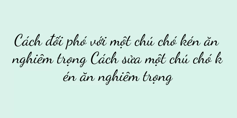 Cách đối phó với một chú chó kén ăn nghiêm trọng Cách sửa một chú chó kén ăn nghiêm trọng