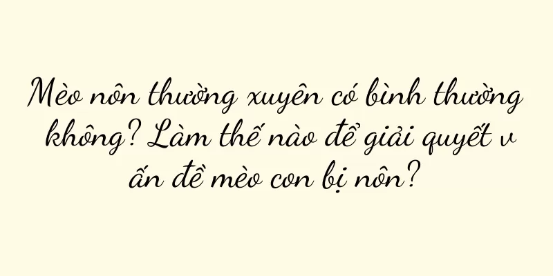 Mèo nôn thường xuyên có bình thường không? Làm thế nào để giải quyết vấn đề mèo con bị nôn?