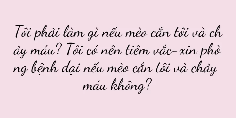 Tôi phải làm gì nếu mèo cắn tôi và chảy máu? Tôi có nên tiêm vắc-xin phòng bệnh dại nếu mèo cắn tôi và chảy máu không?
