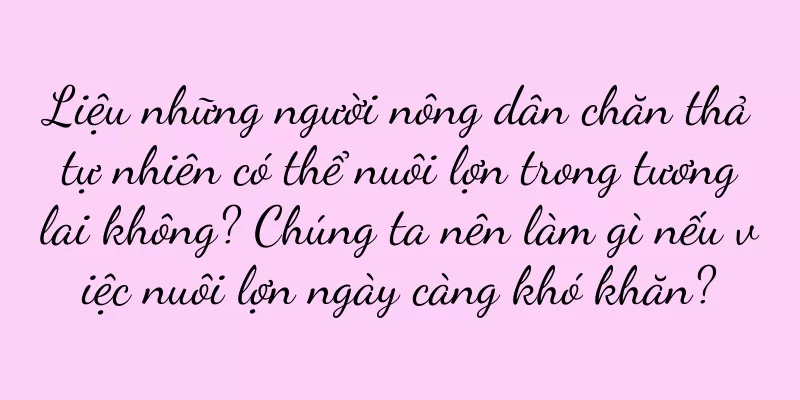 Liệu những người nông dân chăn thả tự nhiên có thể nuôi lợn trong tương lai không? Chúng ta nên làm gì nếu việc nuôi lợn ngày càng khó khăn?