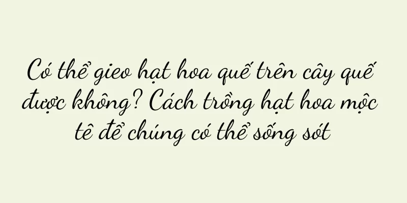 Có thể gieo hạt hoa quế trên cây quế được không? Cách trồng hạt hoa mộc tê để chúng có thể sống sót