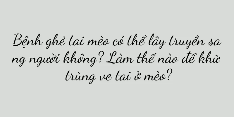 Bệnh ghẻ tai mèo có thể lây truyền sang người không? Làm thế nào để khử trùng ve tai ở mèo?
