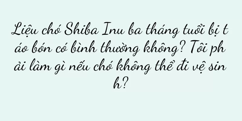 Liệu chó Shiba Inu ba tháng tuổi bị táo bón có bình thường không? Tôi phải làm gì nếu chó không thể đi vệ sinh?