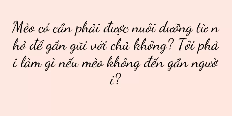 Mèo có cần phải được nuôi dưỡng từ nhỏ để gần gũi với chủ không? Tôi phải làm gì nếu mèo không đến gần người?