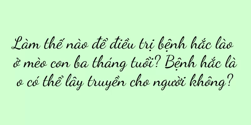 Làm thế nào để điều trị bệnh hắc lào ở mèo con ba tháng tuổi? Bệnh hắc lào có thể lây truyền cho người không?