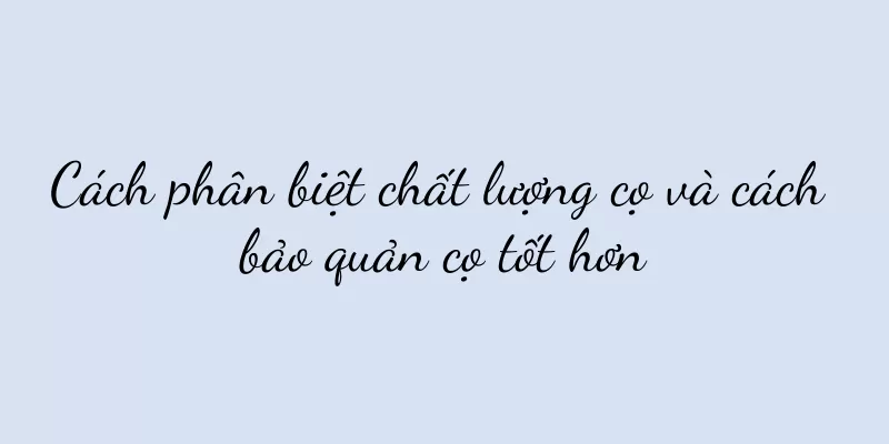 Cách phân biệt chất lượng cọ và cách bảo quản cọ tốt hơn