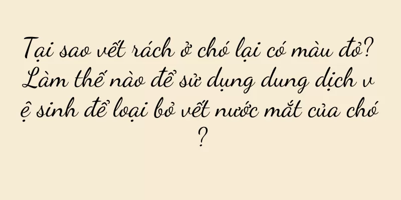 Tại sao vết rách ở chó lại có màu đỏ? Làm thế nào để sử dụng dung dịch vệ sinh để loại bỏ vết nước mắt của chó?