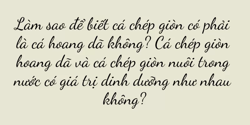 Làm sao để biết cá chép giòn có phải là cá hoang dã không? Cá chép giòn hoang dã và cá chép giòn nuôi trong nước có giá trị dinh dưỡng như nhau không?