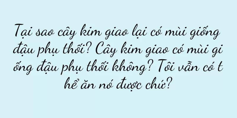 Tại sao cây kim giao lại có mùi giống đậu phụ thối? Cây kim giao có mùi giống đậu phụ thối không? Tôi vẫn có thể ăn nó được chứ?
