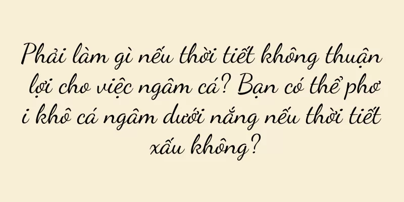 Phải làm gì nếu thời tiết không thuận lợi cho việc ngâm cá? Bạn có thể phơi khô cá ngâm dưới nắng nếu thời tiết xấu không?