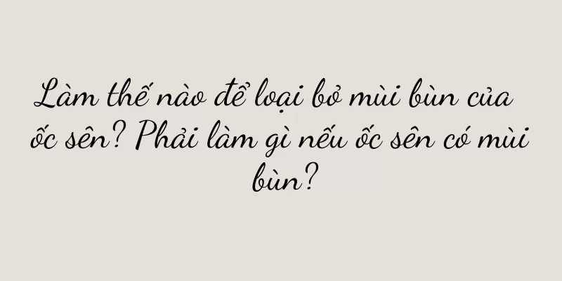 Làm thế nào để loại bỏ mùi bùn của ốc sên? Phải làm gì nếu ốc sên có mùi bùn?