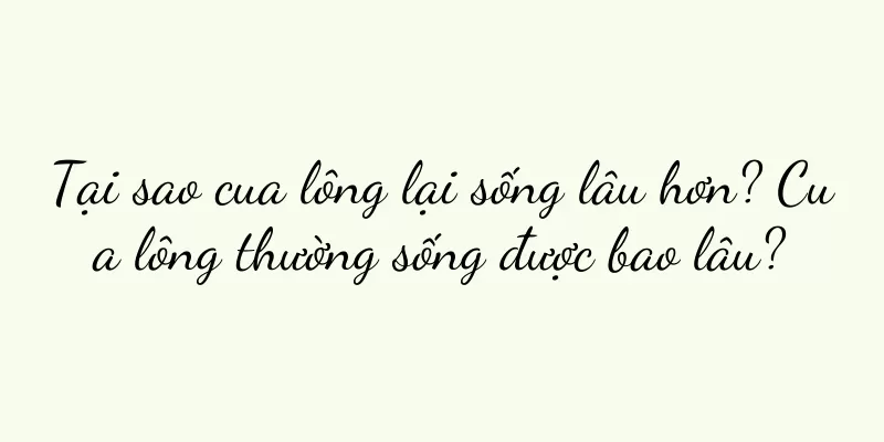 Tại sao cua lông lại sống lâu hơn? Cua lông thường sống được bao lâu?