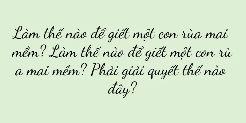 Làm thế nào để giết một con rùa mai mềm? Làm thế nào để giết một con rùa mai mềm? Phải giải quyết thế nào đây?