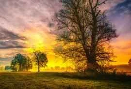 Sự khác biệt giữa sữa rửa mặt và nước rửa mặt