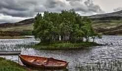 Tinh chất làm trắng da của L'Oréal hiệu quả đến mức nào?