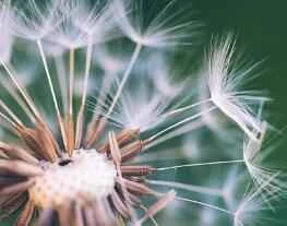 Phụ nữ nên sử dụng sản phẩm chăm sóc da nào cho da khô vào mùa đông?