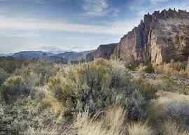 16 loại sữa rửa mặt có tỷ lệ mua lại cao nhất và chất lượng tốt nhất