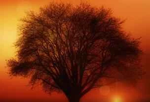 Hãy hình thành ba thói quen tốt mỗi ngày để có làn da dễ dàng hơn.