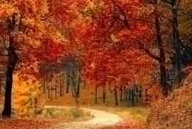 Đánh giá 6 loại mặt nạ dưỡng ẩm da mặt