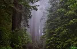 Bạn thường mắc phải những lỗi nào khi sử dụng serum không đúng cách?