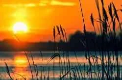 Cách sử dụng kem dưỡng mắt hiệu quả nhất để chăm sóc vùng mắt?