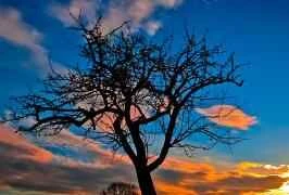 Các bước đắp mặt nạ mùa đông để có làn da mềm mại và tươi trẻ