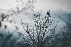 Top 10 sản phẩm trị mụn đầu đen hiệu quả nhất