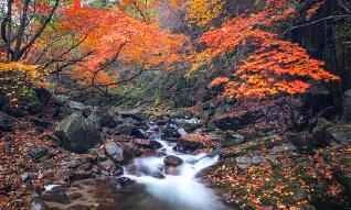 Những hiểu lầm thường gặp khi sử dụng mặt nạ ngủ