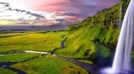 3 sai lầm thường gặp trong các liệu trình làm đẹp bằng dầu ô liu