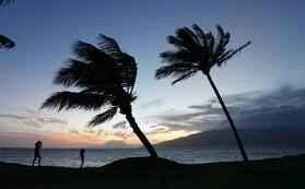 Bạn đã thực hiện đúng quy trình chăm sóc da mùa xuân chưa?