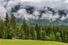 Mẹo thay đổi và sắp xếp các sản phẩm chăm sóc da vào đầu mùa xuân