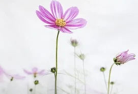 Phụ nữ 30 tuổi nên dùng loại kem dưỡng mắt nào?