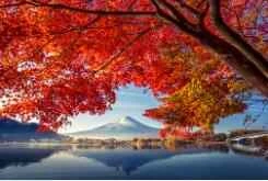 Những sản phẩm chăm sóc da nào tốt? 16 sản phẩm chăm sóc da giúp làn da của bạn trở lại trạng thái tự nhiên.