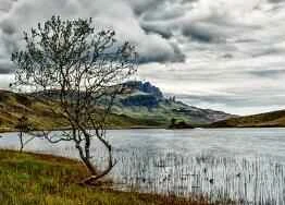 Sử dụng tinh dầu dưỡng da trong quy trình chăm sóc da mùa thu và mùa đông có thể cải thiện đáng kể kết quả của làn da.