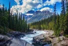 Bạn vẫn còn băn khoăn về sự khác biệt giữa nước tẩy trang, dầu tẩy trang và sáp tẩy trang?