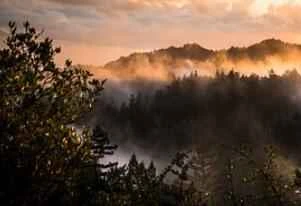 Sản phẩm tốt giúp loại bỏ mụn đầu đen và thu nhỏ lỗ chân lông.