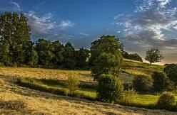 Cảnh báo! Sản phẩm chăm sóc da rất tốt, nhưng đừng lạm dụng quá nhiều thành phần; việc thoa nhiều lớp sản phẩm có thể dễ dàng gây kích ứng da.