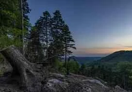 16 sản phẩm chống lão hóa hàng đầu giúp bạn giữ gìn vẻ ngoài tươi trẻ ngay cả khi tuổi tác tăng lên.