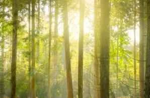 Cách sử dụng mặt nạ mắt để giảm nếp nhăn hiệu quả nhất?