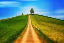 Kem dưỡng da tay giá cả phải chăng và hiệu quả - Bảng xếp hạng kem dưỡng da tay