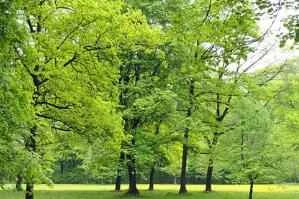 Các loại da khác nhau nên chọn sản phẩm tẩy tế bào chết khác nhau.