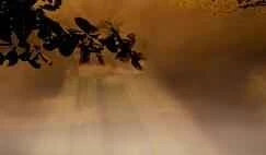 Các phương pháp làm trắng vùng cổ