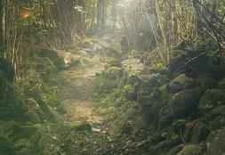 10 loại mặt nạ tự chế giúp làm trắng và trị nám da mặt