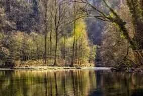 10 sản phẩm thải độc và thanh lọc hiệu quả