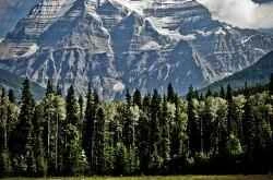 Làm thế nào để thu nhỏ lỗ chân lông to? Một số sản phẩm tốt để thu nhỏ lỗ chân lông là gì?