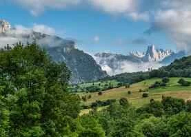 Những loại toner nào tốt và giá cả phải chăng?