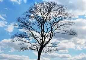 10 loại kem dưỡng da mặt được cư dân mạng đánh giá cao.