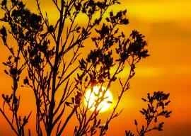 Đừng để bị đánh lừa bởi những lời quảng cáo "dành cho trẻ sơ sinh"; hãy cẩn trọng khi lựa chọn các sản phẩm chăm sóc da.